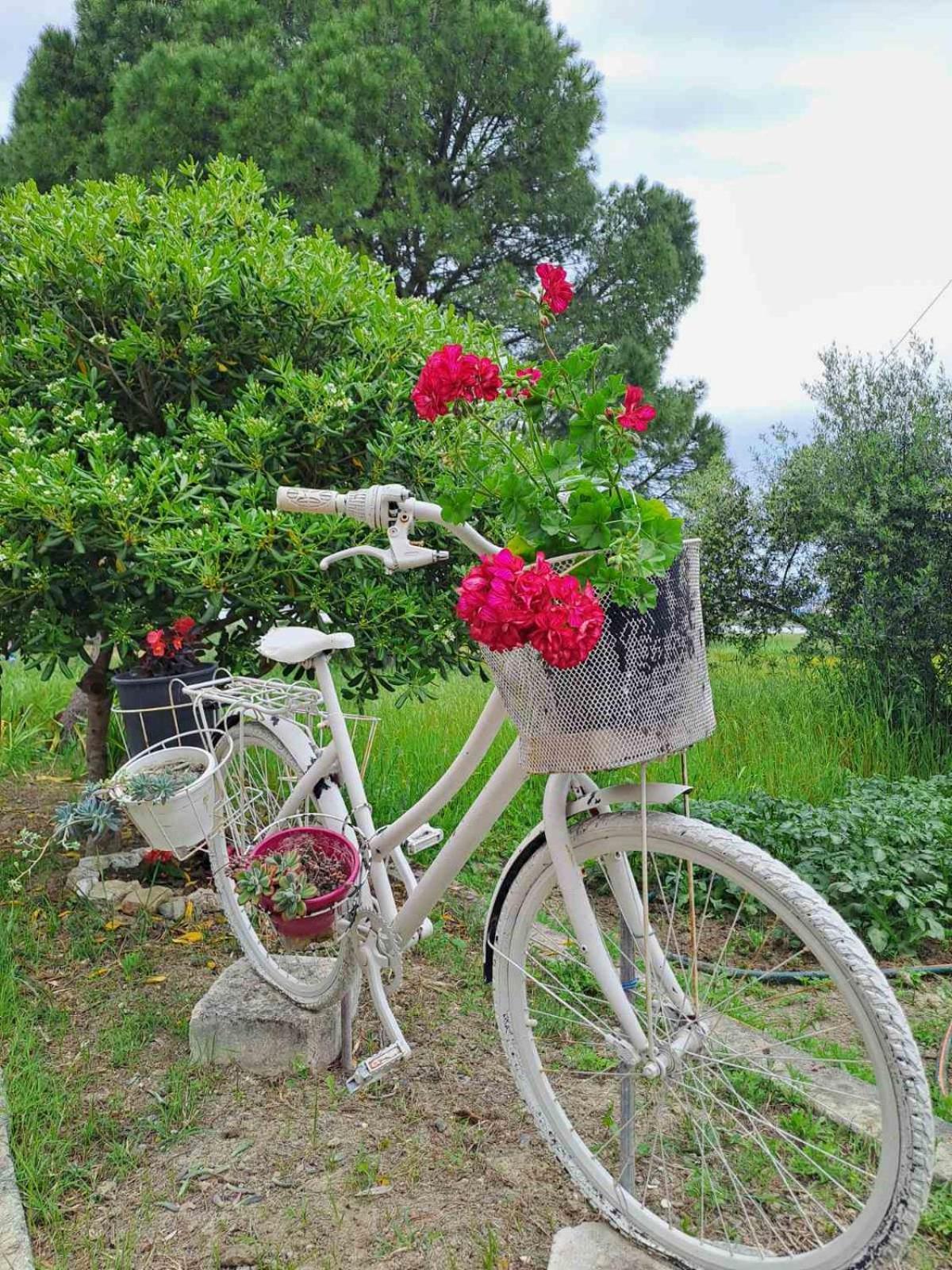 Corfu Lakeside Cottage カノニ エクステリア 写真